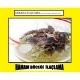 Dikmen Hamamböceği İlaçlama